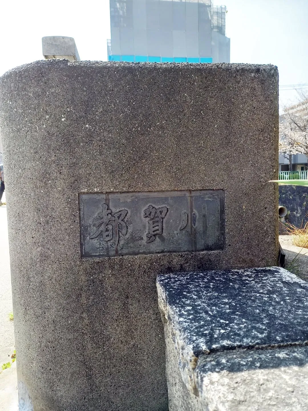 昼休みに都賀川(とががわ)に行って来ました🎵