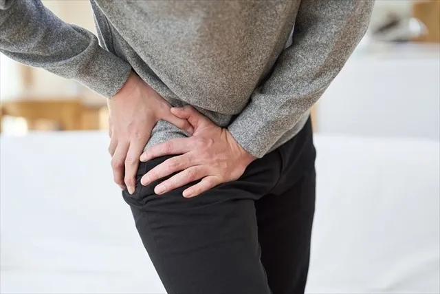 股関節とは？  ―体を支え、動かす“要”の関節―